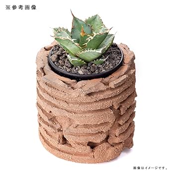 陶器植木鉢　COM WORK STUDIO【美品】 COM WORK STUDIO】Plante 01